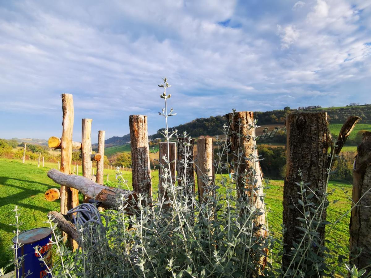 Gaeleon Bed & Breakfast Campofilone